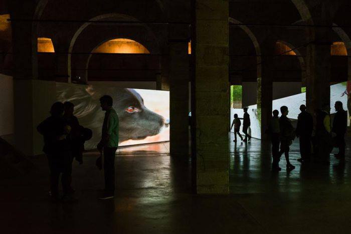 42221576_10155503370996050_561291473274798080_n