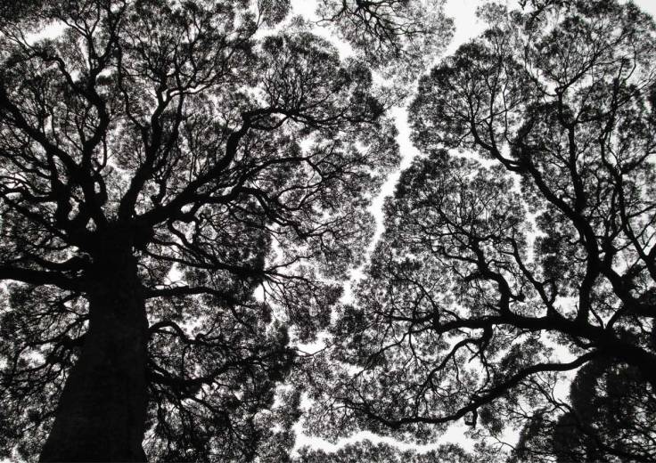 2018-Permaculture-Calendar7