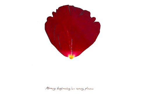 always beginning crop